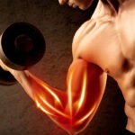 divisão de treino para hipertrofia