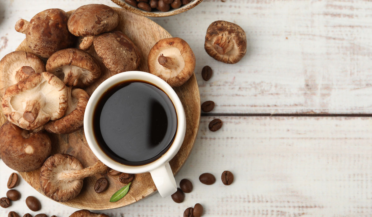 cafés com cogumelos adaptógenos
