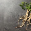 substitutos de adoçantes artificiais