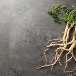substitutos de adoçantes artificiais