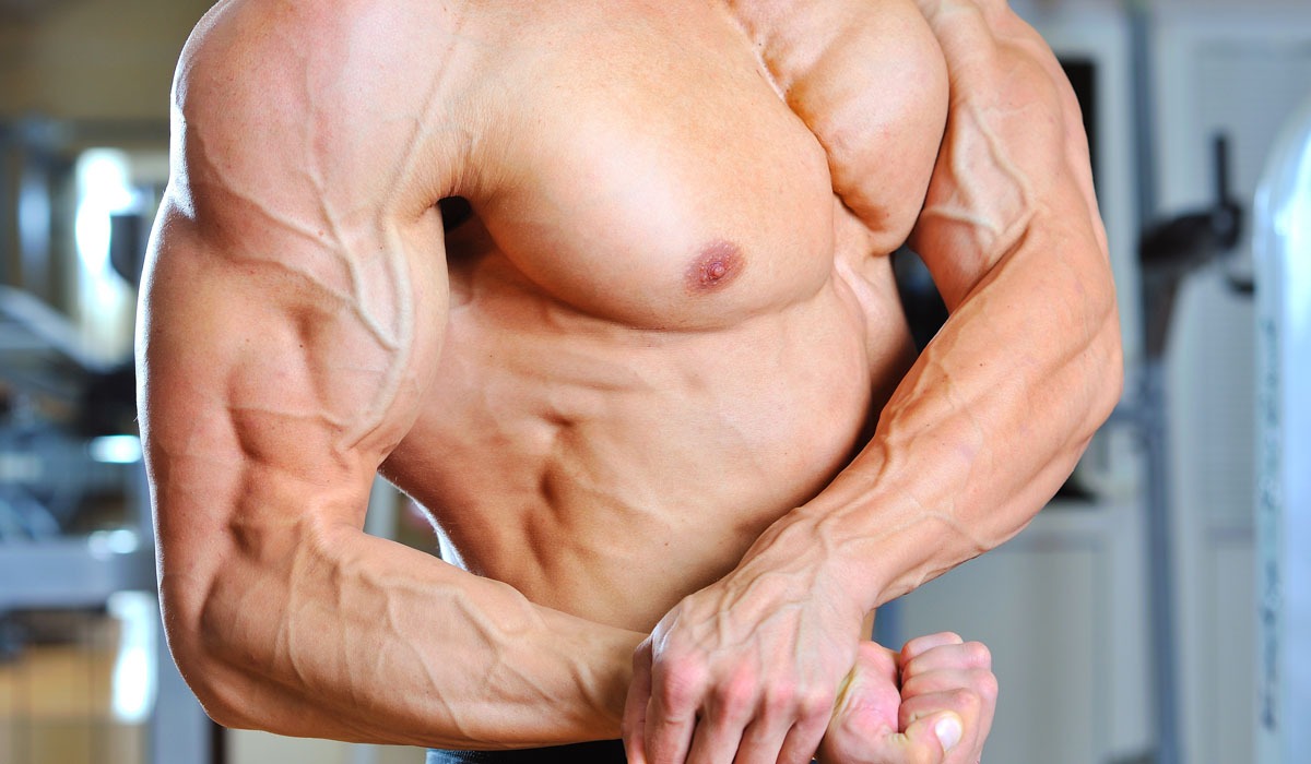 Treinamento oclusivo: como ganhar massa muscular com cargas leves e articulações protegidas